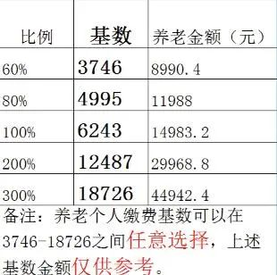 解读孕期周数与月份转换，以37周加5天是几个月为例