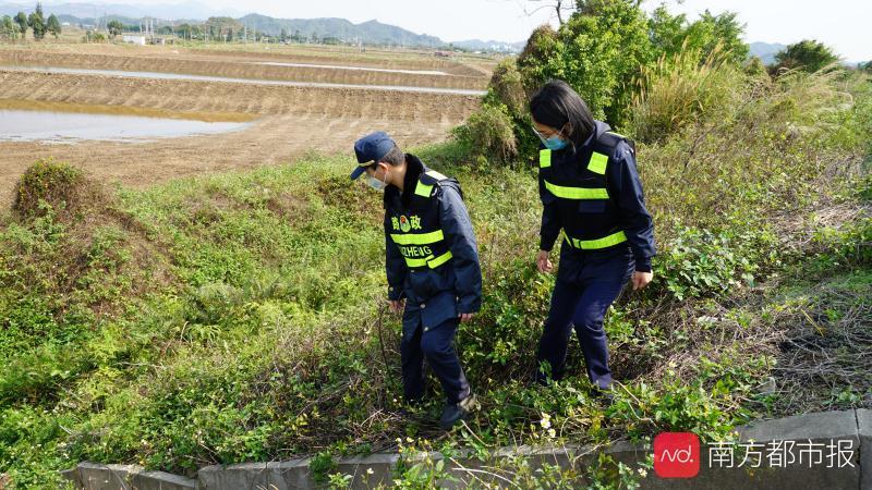 广东省路政网，构建智慧交通，助力地方繁荣发展