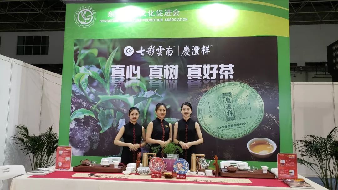 广东德益茶业有限公司，传承茶文化，演绎茶道精神