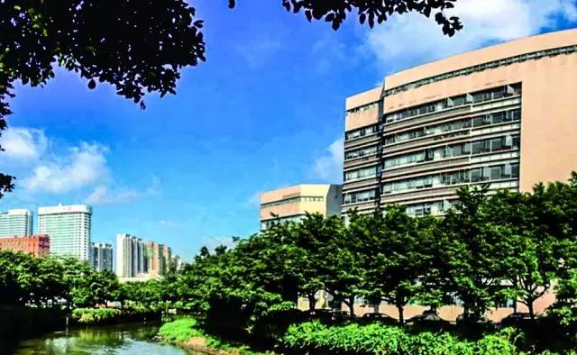 广东省体育大学，培养卓越体育人才的摇篮