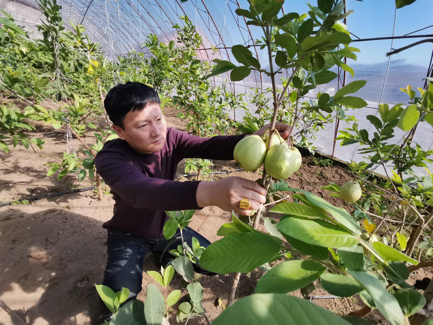 广东鸿运膳食有限公司，打造卓越膳食服务的新标杆