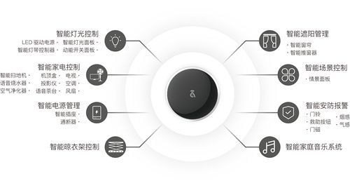 广东智猫有限公司，引领科技创新，塑造数字化未来