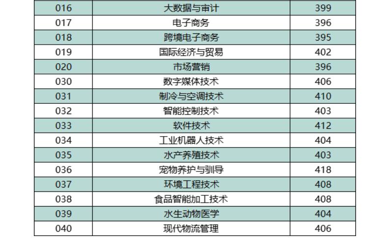 广东省大专的专业，多元化、实践性与就业前景的探讨